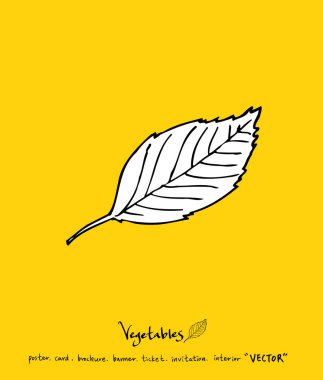 El çekilmiş gıda maddeleri - sebze ve meyve resimleri - vektör