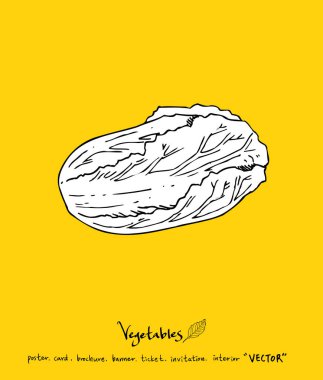 El çekilmiş gıda maddeleri - sebze ve meyve resimleri - vektör