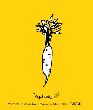 El çekilmiş gıda maddeleri - sebze ve meyve resimleri - vektör