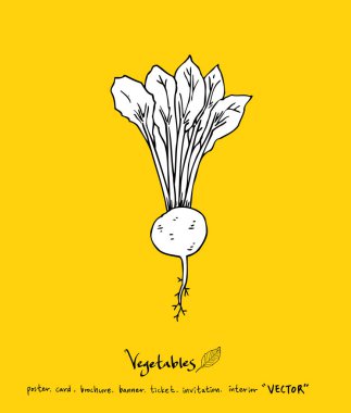 El çekilmiş gıda maddeleri - sebze ve meyve resimleri - vektör
