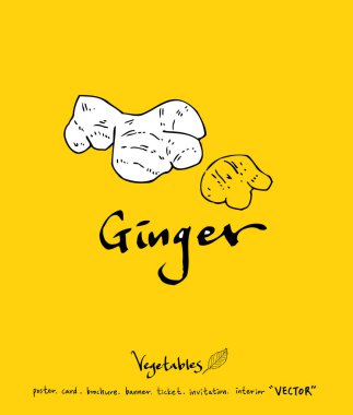 El çekilmiş gıda maddeleri - sebze ve meyve resimleri - vektör