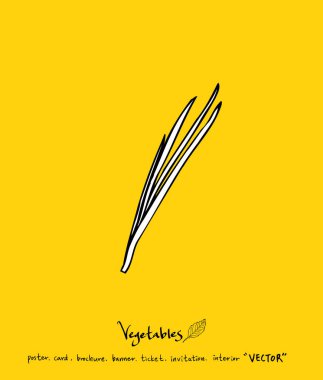 Sebze ve meyve resimler / el çekilmiş gıda maddeleri - vektör