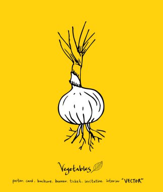 Sebze ve meyve resimler / el çekilmiş gıda maddeleri - vektör