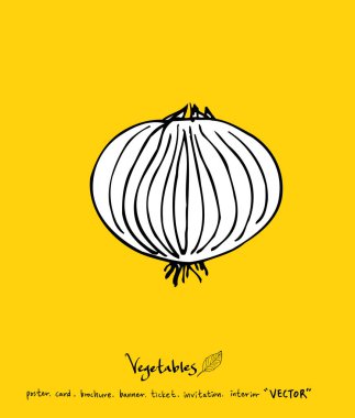 Sebze ve meyve resimler / el çekilmiş gıda maddeleri - vektör