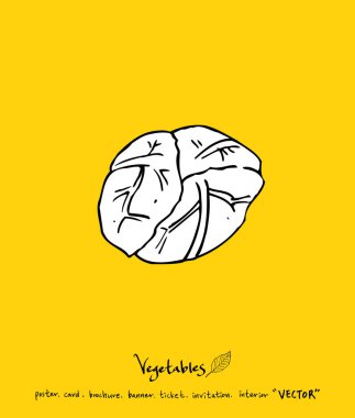 Sebze ve meyve resimler / el çekilmiş gıda maddeleri - vektör