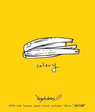 Sebze ve meyve resimler / el çekilmiş gıda maddeleri - vektör