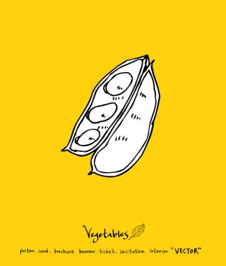 Sebze ve meyve resimler / el çekilmiş gıda maddeleri - vektör