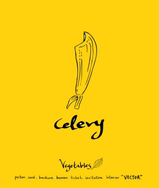 Sebze ve meyve resimler / el çekilmiş gıda maddeleri - vektör