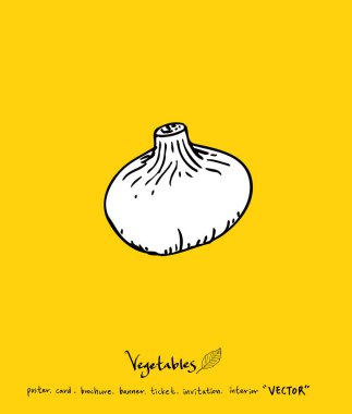 Sebze ve meyve resimler / el çekilmiş gıda maddeleri - vektör