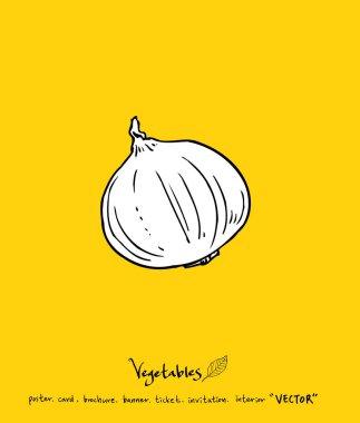 Sebze ve meyve resimler / el çekilmiş gıda maddeleri - vektör