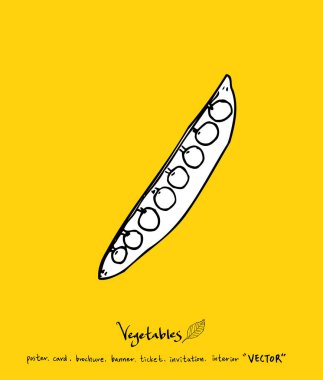 Sebze ve meyve resimler / el çekilmiş gıda maddeleri - vektör