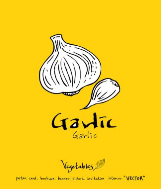 Sebze ve meyve resimler / el çekilmiş gıda maddeleri - vektör