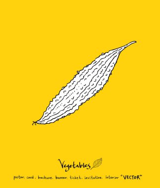 Sebze ve meyve resimler / el çekilmiş gıda maddeleri - vektör