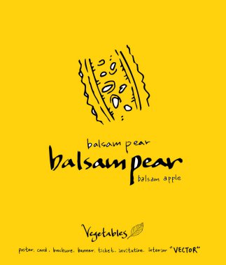 Sebze ve meyve resimler / el çekilmiş gıda maddeleri - vektör