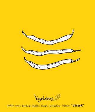 Sebze ve meyve resimler / el çekilmiş gıda maddeleri - vektör