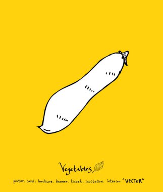 Sebze ve meyve resimler / el çekilmiş gıda maddeleri - vektör