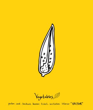 Sebze ve meyve resimler / el çekilmiş gıda maddeleri - vektör