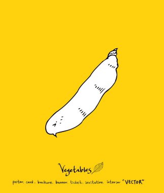 Sebze ve meyve resimler / el çekilmiş gıda maddeleri - vektör