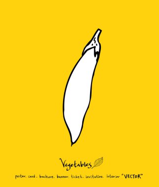 Sebze ve meyve resimler / el çekilmiş gıda maddeleri - vektör