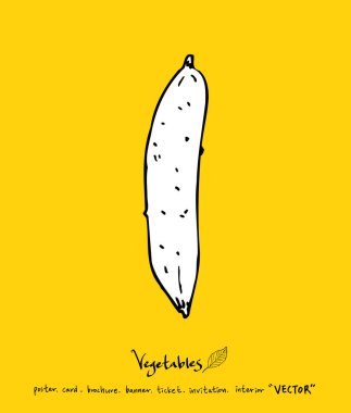 Sebze ve meyve resimler / el çekilmiş gıda maddeleri - vektör