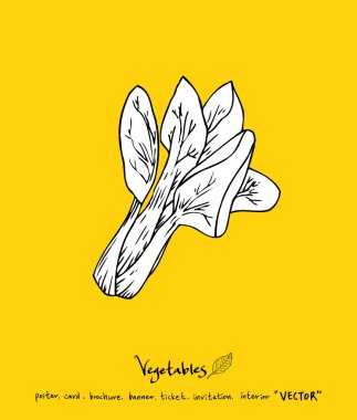 Sebze ve meyve resimler / el çekilmiş gıda maddeleri - vektör