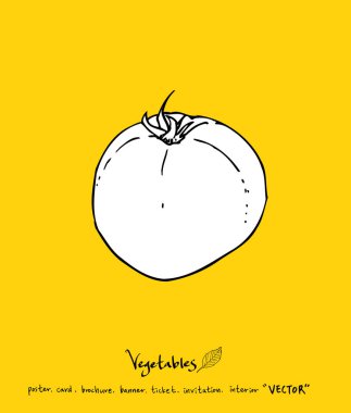 Sebze ve meyve resimler / el çekilmiş gıda maddeleri - vektör