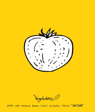 Sebze ve meyve resimler / el çekilmiş gıda maddeleri - vektör