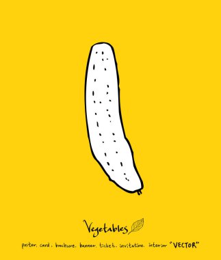 Sebze ve meyve resimler / el çekilmiş gıda maddeleri - vektör