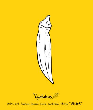 Sebze ve meyve resimler / el çekilmiş gıda maddeleri - vektör