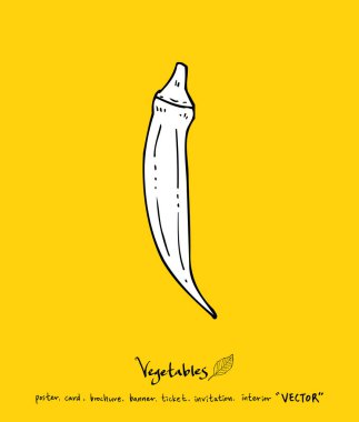 Sebze ve meyve resimler / el çekilmiş gıda maddeleri - vektör