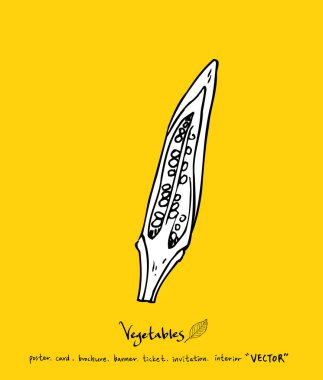 Sebze ve meyve resimler / el çekilmiş gıda maddeleri - vektör