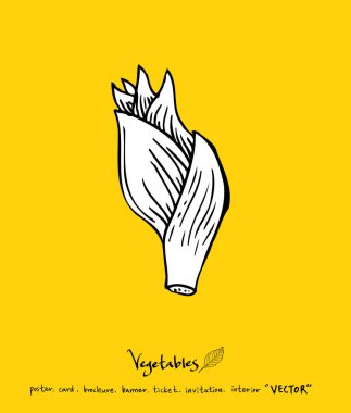 Sebze ve meyve resimler / el çekilmiş gıda maddeleri - vektör