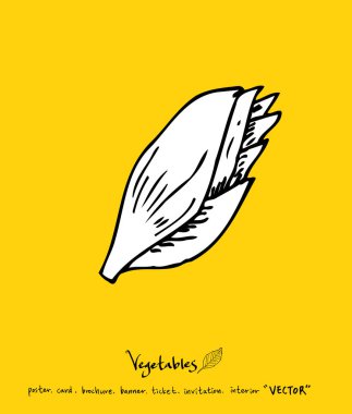 Sebze ve meyve resimler / el çekilmiş gıda maddeleri - vektör