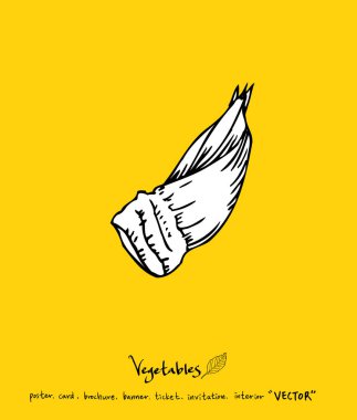 Sebze ve meyve resimler / el çekilmiş gıda maddeleri - vektör