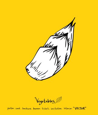 Sebze ve meyve resimler / el çekilmiş gıda maddeleri - vektör