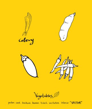 Sebze ve meyve resimler / el çekilmiş gıda maddeleri - vektör