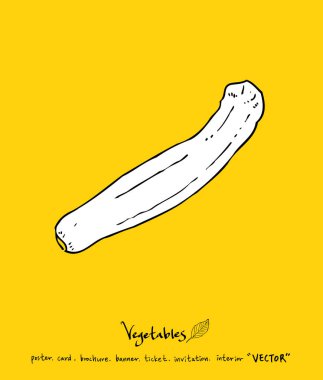 Sebze ve meyve resimler / el çekilmiş gıda maddeleri - vektör