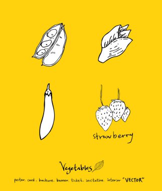 Sebze ve meyve resimler / el çekilmiş gıda maddeleri - vektör