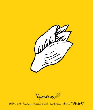 Sebze ve meyve resimler / el çekilmiş gıda maddeleri - vektör