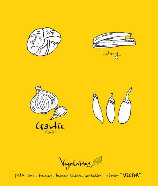 Sebze ve meyve resimler / el çekilmiş gıda maddeleri - vektör