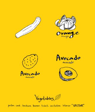 Sebze ve meyve resimler / el çekilmiş gıda maddeleri - vektör