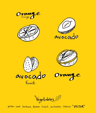 Sebze ve meyve resimler / el çekilmiş gıda maddeleri - vektör