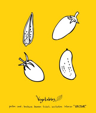 Sebze ve meyve resimler / el çekilmiş gıda maddeleri - vektör