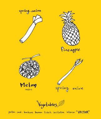 Sebze ve meyve resimler / el çekilmiş gıda maddeleri - vektör