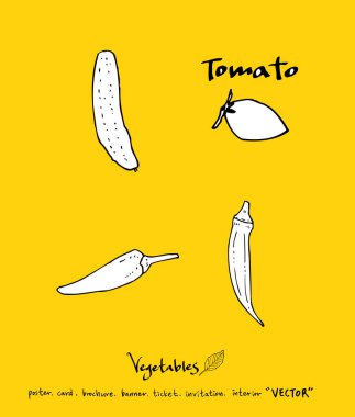 Sebze ve meyve resimler / el çekilmiş gıda maddeleri - vektör