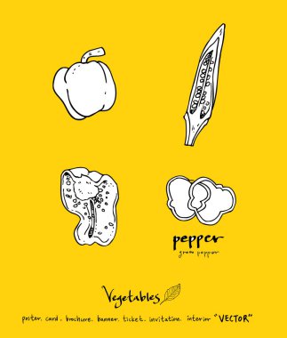 Sebze ve meyve resimler / el çekilmiş gıda maddeleri - vektör