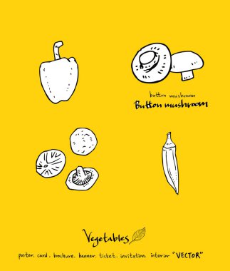 Sebze ve meyve resimler / el çekilmiş gıda maddeleri - vektör