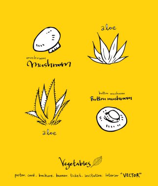 Sebze ve meyve resimler / el çekilmiş gıda maddeleri - vektör