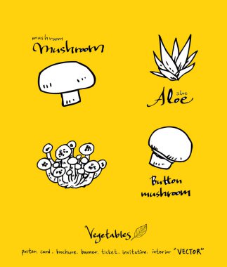 Sebze ve meyve resimler / el çekilmiş gıda maddeleri - vektör