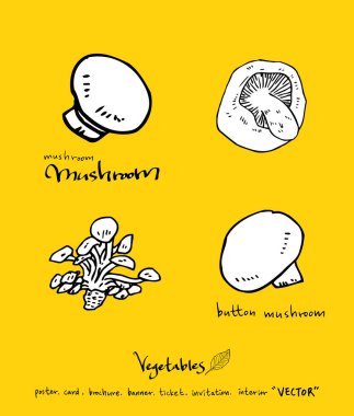 Sebze ve meyve resimler / el çekilmiş gıda maddeleri - vektör